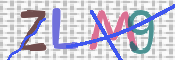 CAPTCHA 驗證圖片