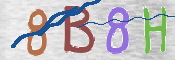 CAPTCHA 驗證圖片