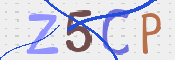 CAPTCHA 驗證圖片