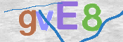 CAPTCHA 驗證圖片