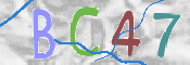 CAPTCHA 驗證圖片