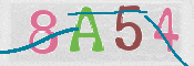 CAPTCHA 驗證圖片