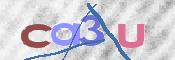 CAPTCHA 驗證圖片