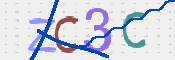 CAPTCHA 驗證圖片