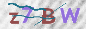 CAPTCHA 驗證圖片