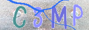 CAPTCHA 驗證圖片
