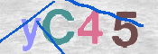 CAPTCHA 驗證圖片