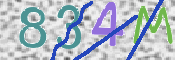 CAPTCHA 驗證圖片