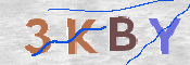 CAPTCHA 驗證圖片