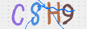 CAPTCHA 驗證圖片