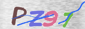 CAPTCHA 驗證圖片