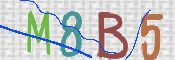 CAPTCHA 驗證圖片
