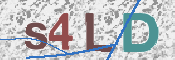 CAPTCHA 驗證圖片