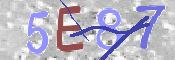CAPTCHA 驗證圖片