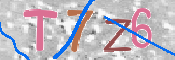 CAPTCHA 驗證圖片