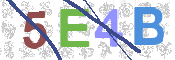CAPTCHA 驗證圖片