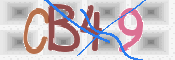 CAPTCHA 驗證圖片