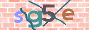 CAPTCHA 驗證圖片