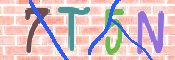 CAPTCHA 驗證圖片