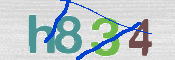 CAPTCHA 驗證圖片