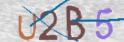 CAPTCHA 驗證圖片
