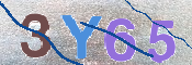 CAPTCHA 驗證圖片