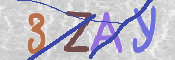 CAPTCHA 驗證圖片