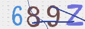 CAPTCHA 驗證圖片