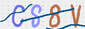 CAPTCHA 驗證圖片