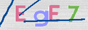 CAPTCHA 驗證圖片