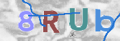 CAPTCHA 驗證圖片