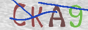 CAPTCHA 驗證圖片