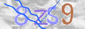 CAPTCHA 驗證圖片