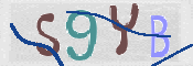 CAPTCHA 驗證圖片