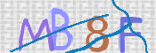 CAPTCHA 驗證圖片