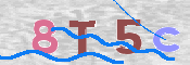 CAPTCHA 驗證圖片
