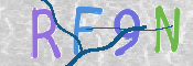CAPTCHA 驗證圖片