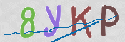 CAPTCHA 驗證圖片