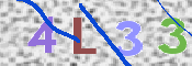 CAPTCHA 驗證圖片