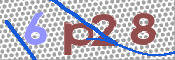 CAPTCHA 驗證圖片