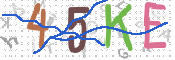 CAPTCHA 驗證圖片