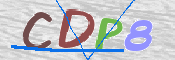 CAPTCHA 驗證圖片