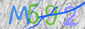 CAPTCHA 驗證圖片