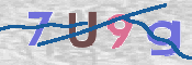 CAPTCHA 驗證圖片