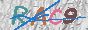 CAPTCHA 驗證圖片