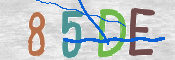 CAPTCHA 驗證圖片