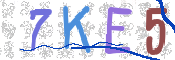 CAPTCHA 驗證圖片