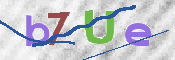 CAPTCHA 驗證圖片