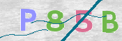 CAPTCHA 驗證圖片