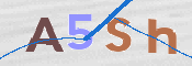 CAPTCHA 驗證圖片
